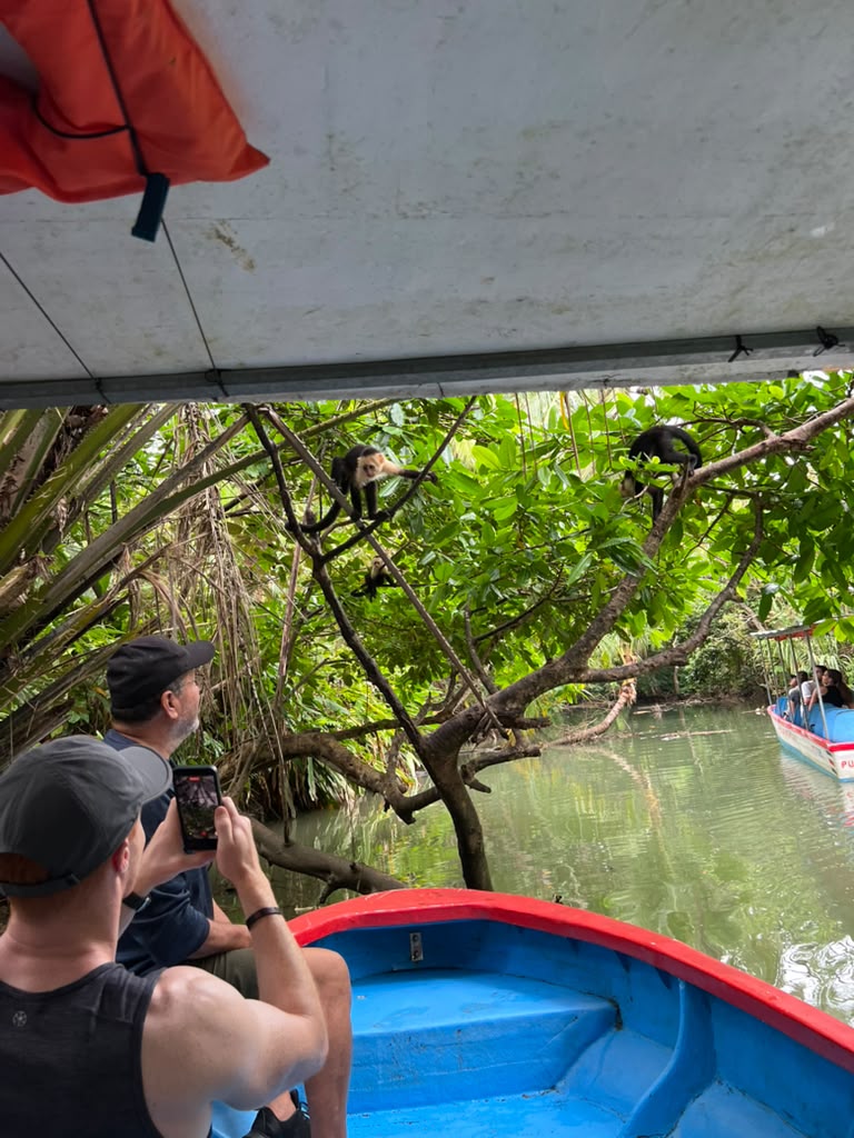 Collins Quepos Tours experience 4